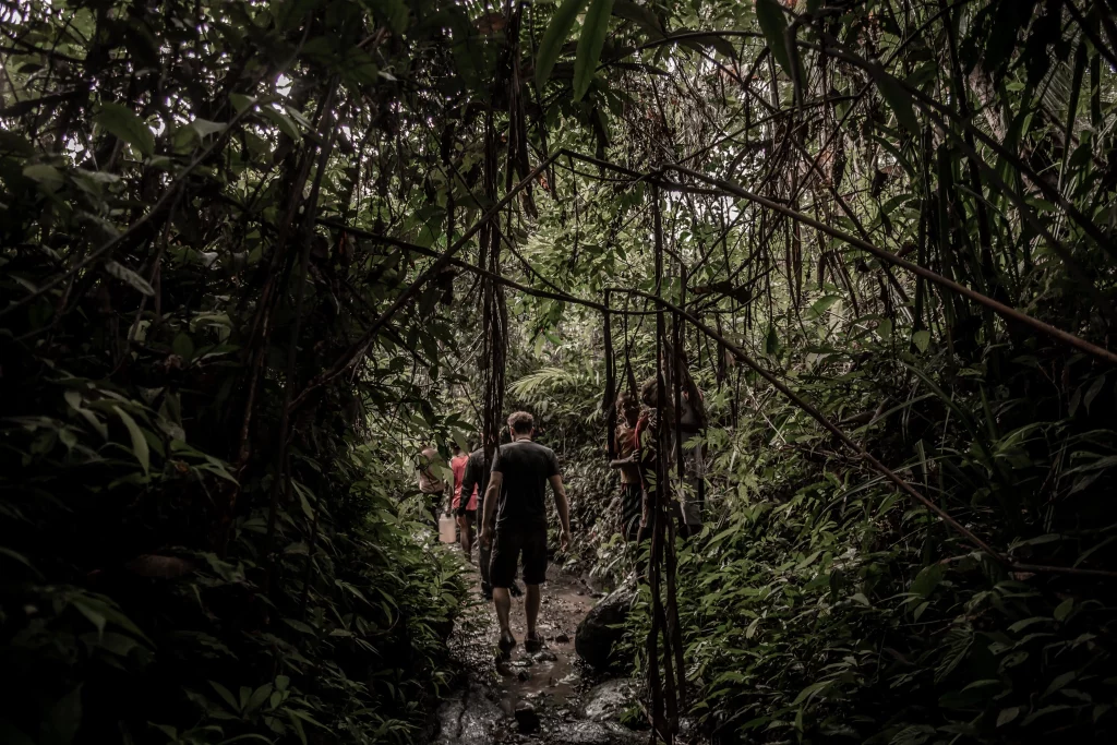 Adentrandose en la selva Mamberamo Papua Indonesia