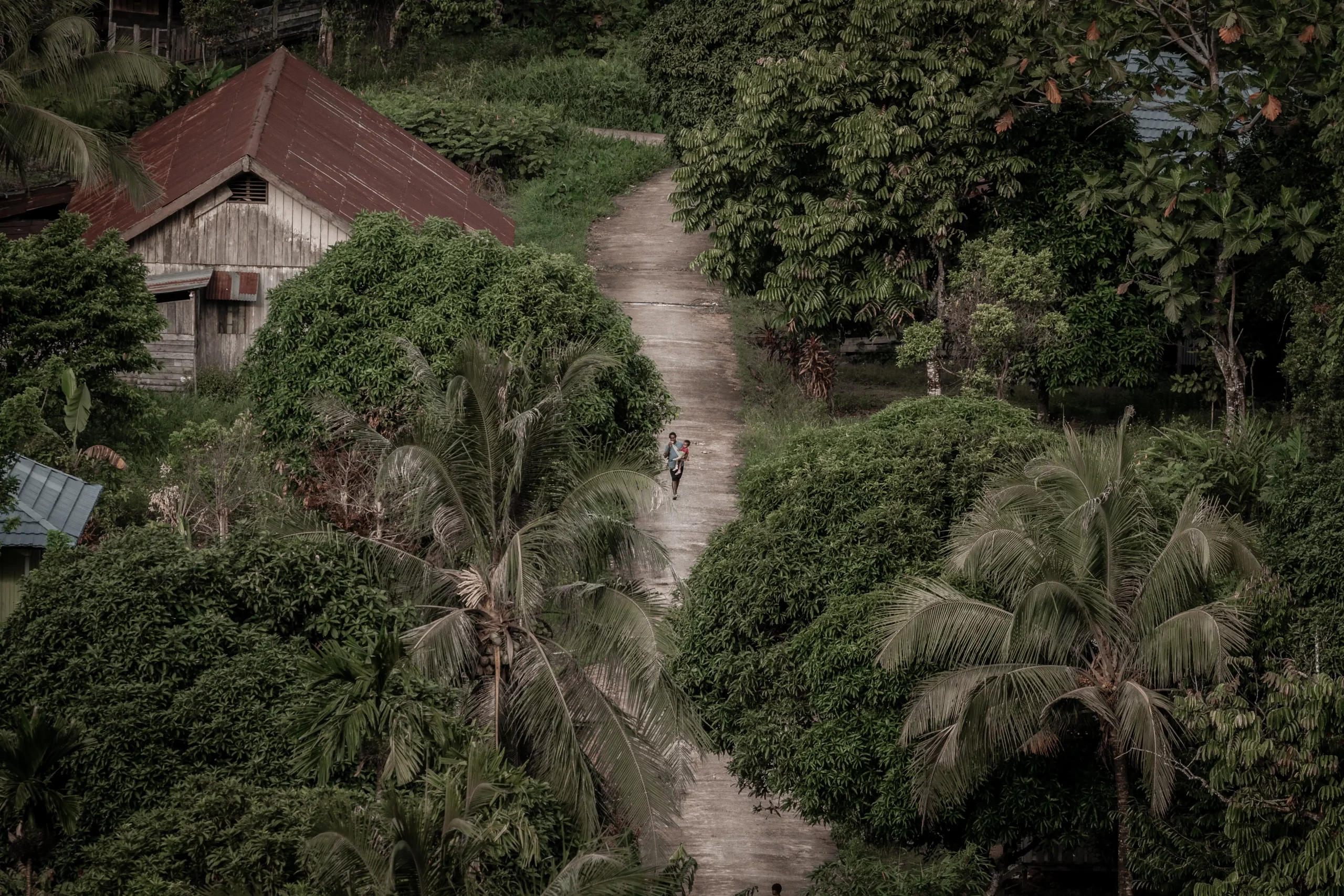 Dabra Papua Indonesia
