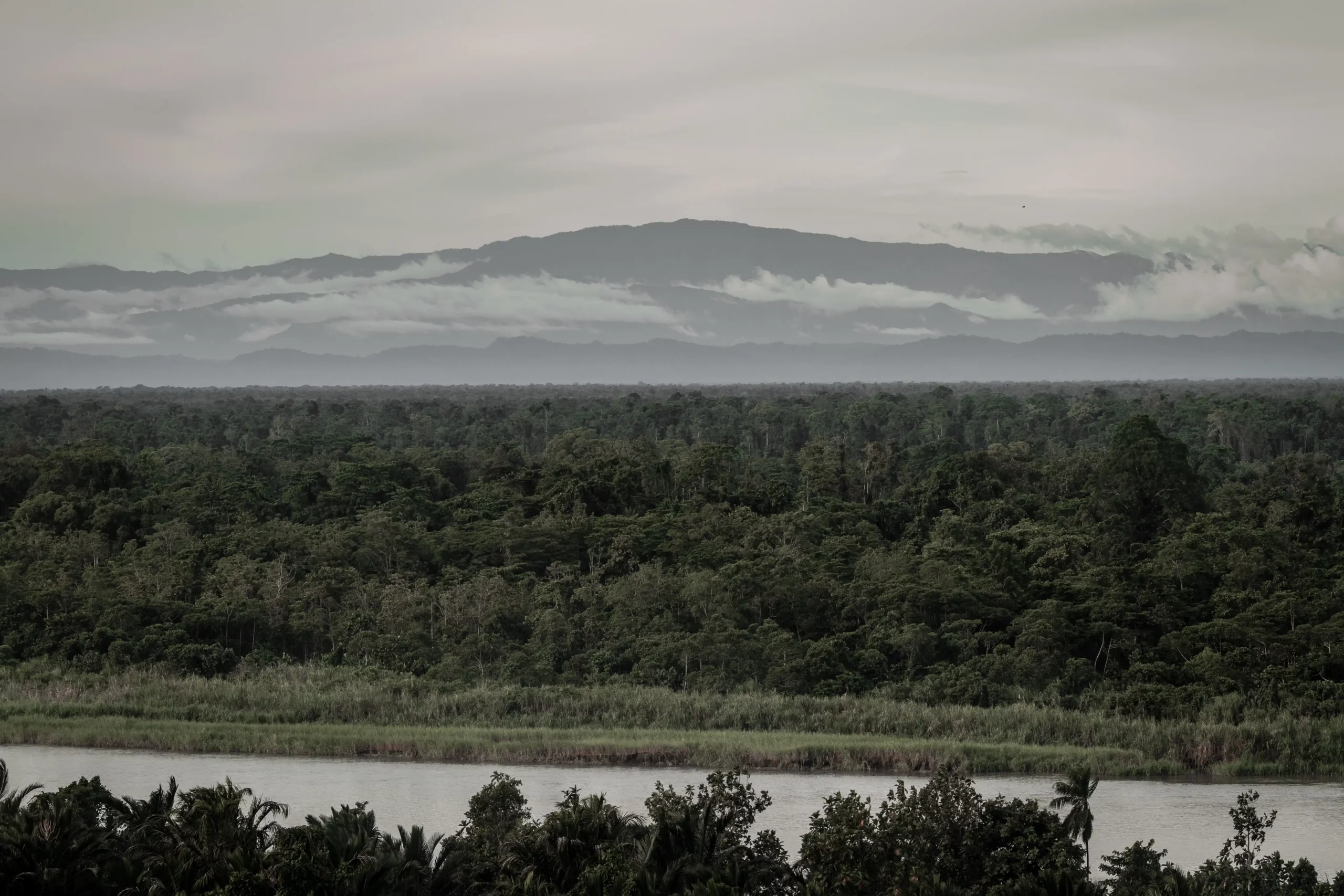 Paisaje Rio Mamberamo Papua Indonesia