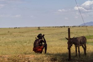 Etiope a la sombra Todonyang
