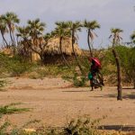 Lago Turkana aldea al sol