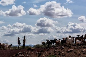 Turkana y los niños pastores