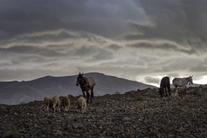 La lluvia en el Moussem de Imilchil