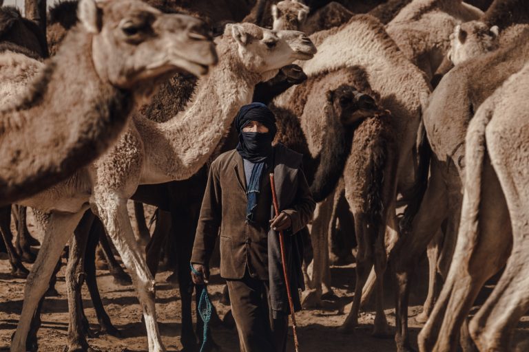 Pastor con camellos Sahara