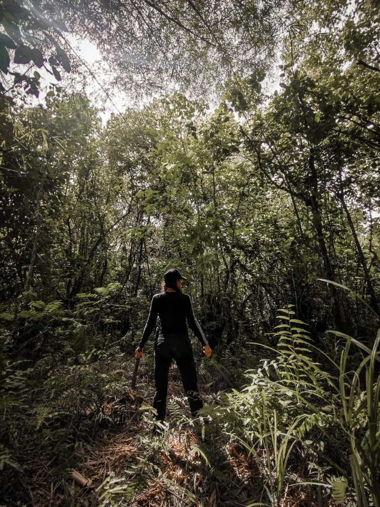 Selva Papua Indonesia