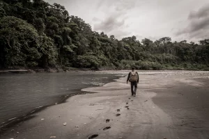 Orilla del Rio Mamberamo Papua Indonesia