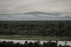 Paisaje Rio Mamberamo Papua Indonesia
