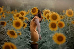 Campo de girasoles España