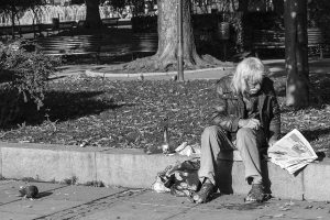 Parque Sofia