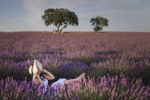 Sesión fotográfica en campo de Lavanda de Brihuega