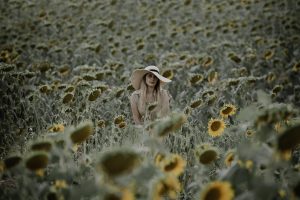 Sesión fotográfica en campos de girasoles España
