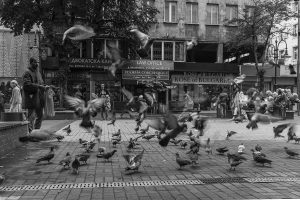 Vitosha Bulevard Sofia