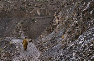 Beréber caminando en Atlas
