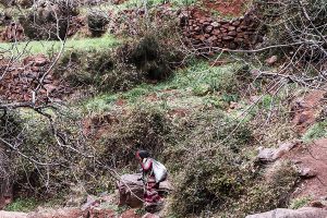 Trabajo mujer beréber, Marruecos
