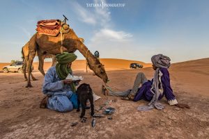 Cup 180 Etapa Erg Chegaga llegada