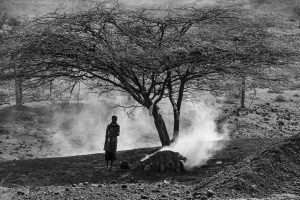 El carbon en Turkana
