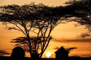 Savanna africana en Turkana