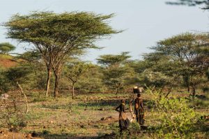 Tierras del interior Turkana