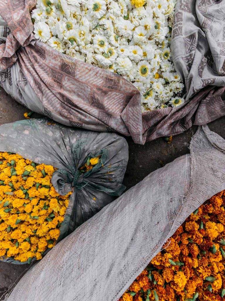 Mercado de las Flore Jaipur