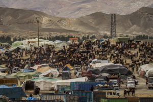 Animales en el zoco de Imilchil