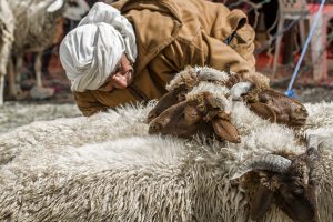Zoco de los animales Moussem de Imilchil