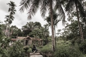 Cocos para beber en Papua