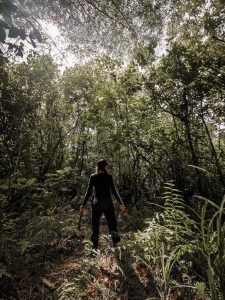 Selva Papua Indonesia